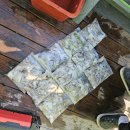 맥가이버 | 안면도배낚시 맥가이버호 태안쭈꾸미낚시 출조후기