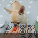 사수제 이미지