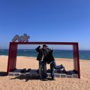 속초 2박 3일 먹방편 - 금이야 옥이야, 전원식당, 중앙시장, 연탄불생구이 -