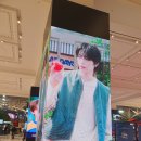 호남선 농장 | 원도어로그 2026 하이브 시그 팝업 HOIDAY HOUSE 사전예약 방문후기