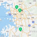 골든햄스터 분양 탬펫 충남아산점 이미지