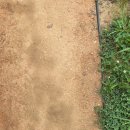 신안평거녹지 이미지