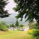 들꽃피는언덕 캠핑장 이미지