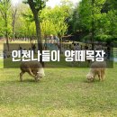 경보목장 이미지