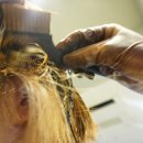 이가자헤어서비스 이미지