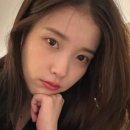 아이유 '중국 국적·화교설' 악플러에 결국 칼 뽑았다… 미국 법원에 신원확인 요청