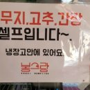 돼지만두
