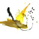 신민수 카카오 검색결과