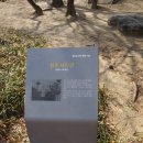 병영비어 | 2026.3.28 청주 중앙공원(with.간식)