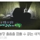 효린농장 이미지