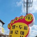 제주이서 이미지