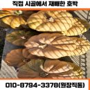 보령건강원 이미지