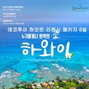 에코투어 이미지