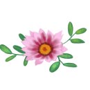 허브세상 이미지