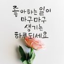 맘 따로 몸 따로 이미지