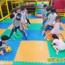 숲이있는 어린이집 티스토리
