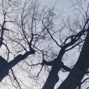 [일반] 역사논술지도사 양성과정 / 오전 / 24.11.27 | 순천 파크골프장 화장실 입장