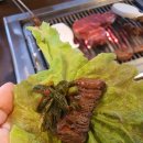 덕장한우 티스토리