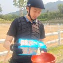 서울클럽 | 의정부 승마체험 서울승마클럽 후기
