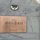 제주노을보리 이미지