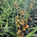 산마루식당 이미지