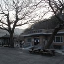 금곡지 Daum카페