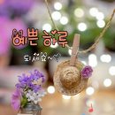 굿모닝 / 항상 행복하세요 / 인사말 이미지 이미지