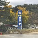 [10.27~29] 강릉캠핑장에서 할로윈 캠핑 [강릉 보광캠핑장 (보광농촌체험휴양마을) 기본시설 등 후기]