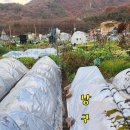 날씨누리 예보입니다 ❤️ 이미지