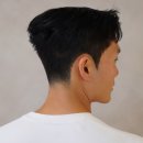 신정수석 이미지