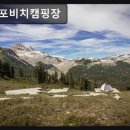 몽산포꿈의바다 | 태안군 캠핑장 추천 몽산포비치캠핑장 평점 5점의 조용한 쉼터