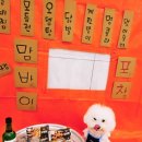 부산애견호텔 강아지유치원 애견미용 맘바이 수영구점 이미지