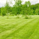 고북농장 이미지