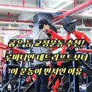 헬스를 배우다! 포비스클럽 | 굽은 등 교정 운동 추천 / 루마니안 데드리프트보다 먼저 해야 할 이유