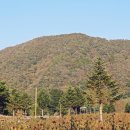 풍경 조형물 이미지