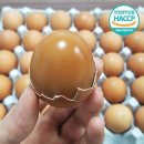 스마트소셜협동조합