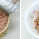 봄참치 Daum카페