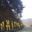 호성동주민센터 이미지