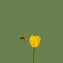 주주종합상사