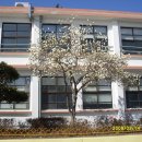 화홍초교 이미지