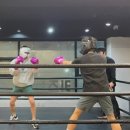 한국체대 복싱 | 태전동 한국체대복싱 검증된 지도자와 안전하게 스파링하기