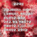 오투에스 이미지