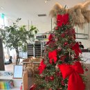 애견백화점 동탄점 이미지