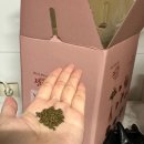 정담한약국 | 세종 다이어트 한약 :: 정담한약국 리얼후기(내돈내산)