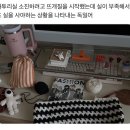 경주인쇄소 | 2026-01-3, 나야, 재도전.