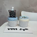 뽀미까까 이미지