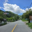 희여울과 꽃나예 이미지