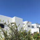 스테이 도채비꽃 이미지