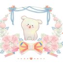 설레아