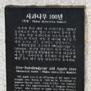 동산글로벌 이미지